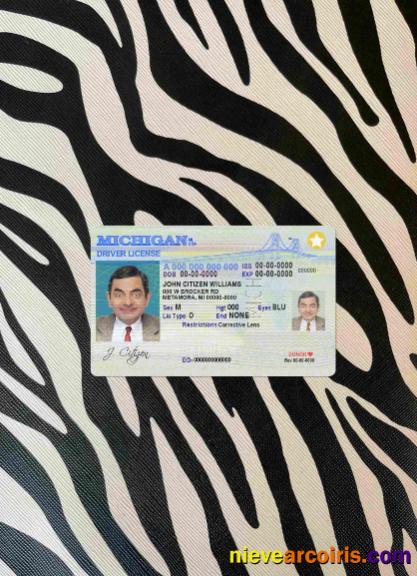 USA Michigan driving license photolook